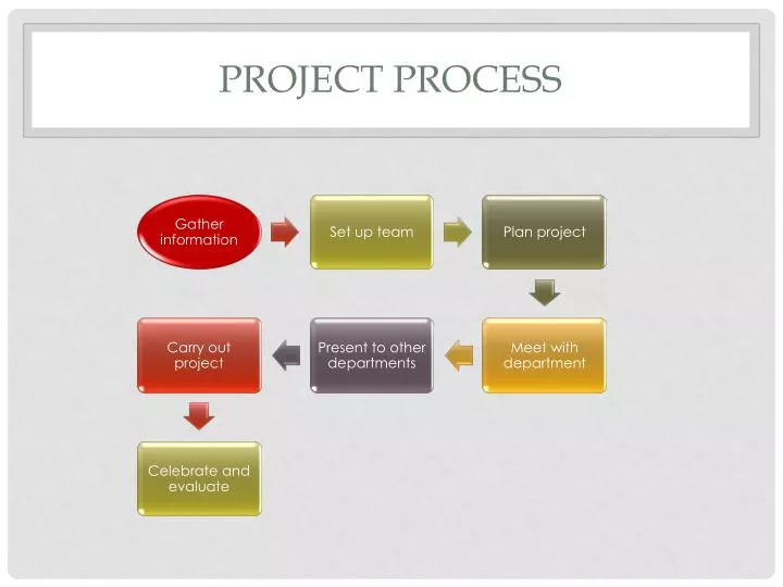 project process