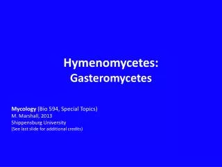 Hymenomycetes : Gasteromycetes