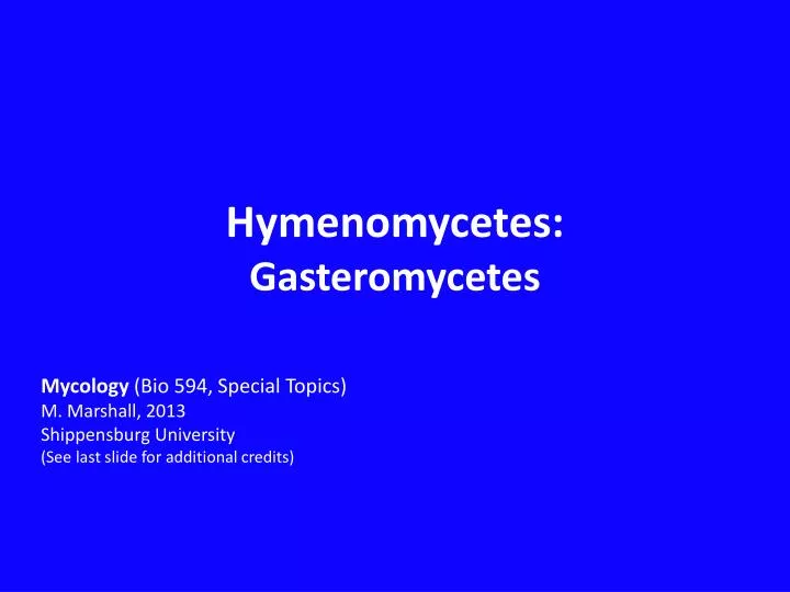 hymenomycetes gasteromycetes