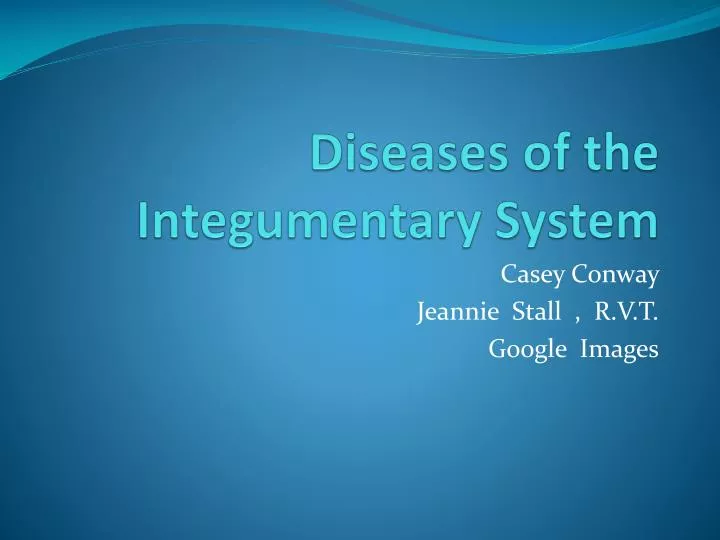 diseases of the integumentary system