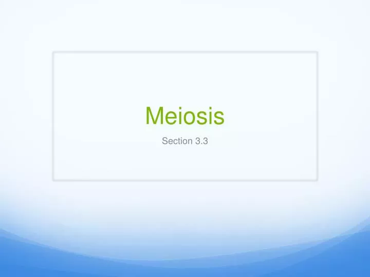 meiosis