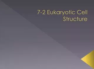 7-2 Eukaryotic Cell Structure