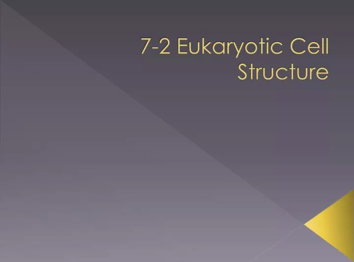 7 2 eukaryotic cell structure