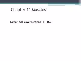 Chapter 11 Muscles