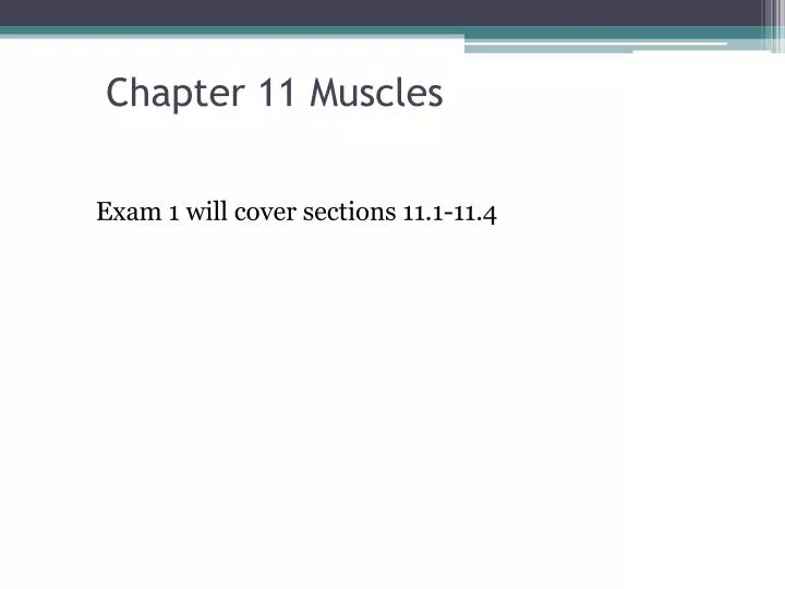 chapter 11 muscles