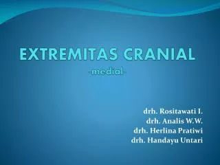 extremitas cranial medial
