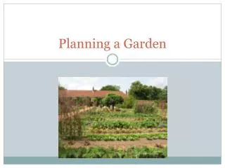 Planning a Garden