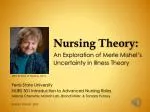 Nursing Theory: