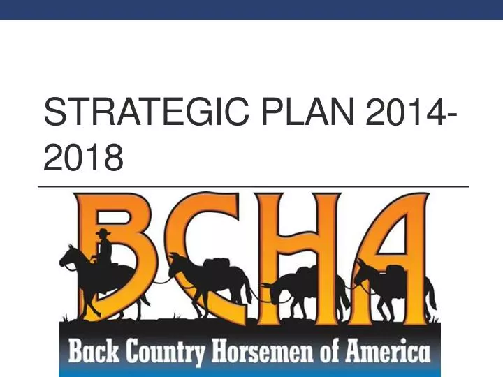 strategic plan 2014 2018