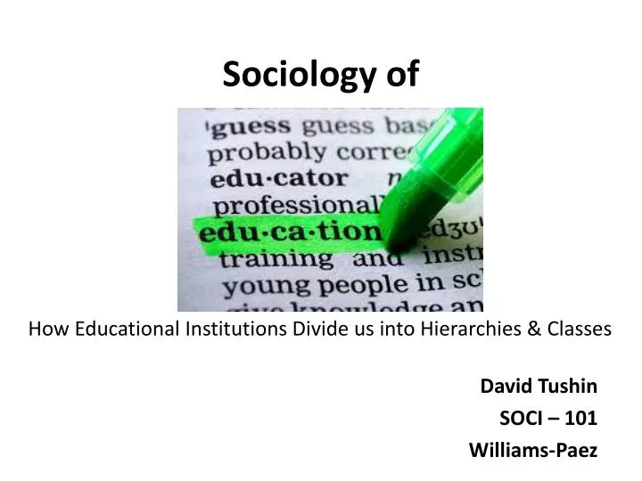 sociology of