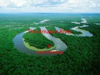 The Amazon River