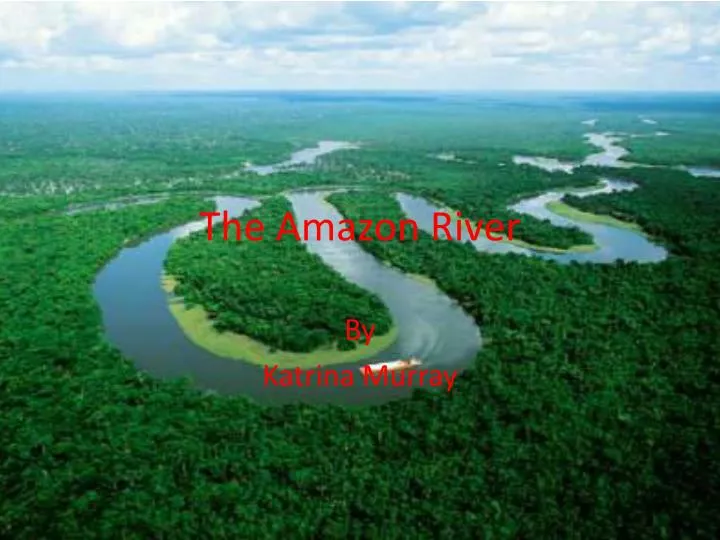 the amazon river