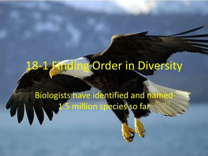 18 1 finding order in diversity