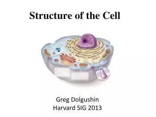 Structure of the Cell