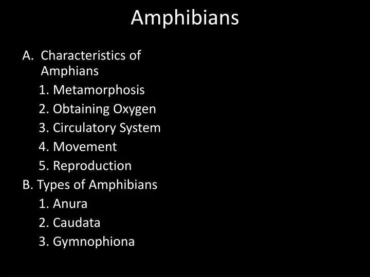 amphibians