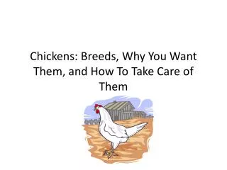 Chickens: Breeds, Why You Want Them, and How To Take Care of Them