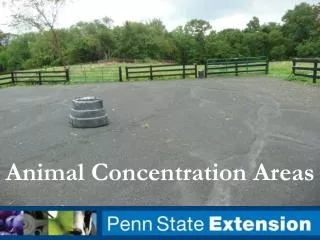 Animal Concentration Areas