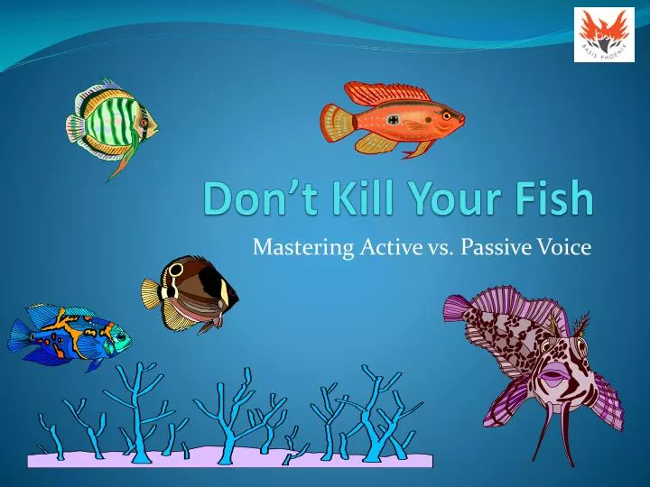 don t kill your fish
