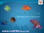Don’t Kill Your Fish - slide 1