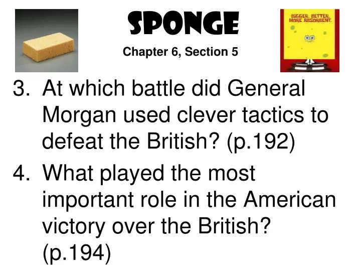 sponge