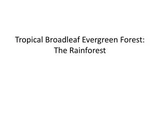 Tropical Broadleaf Evergreen Forest: The Rainforest