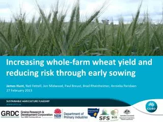Increasing whole-farm wheat yield and reducing risk through early sowing