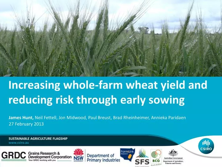 increasing whole farm wheat yield and reducing risk through early sowing