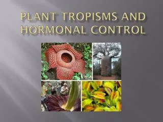 Plant Tropisms and Hormonal Control