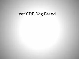 Vet CDE Dog Breed