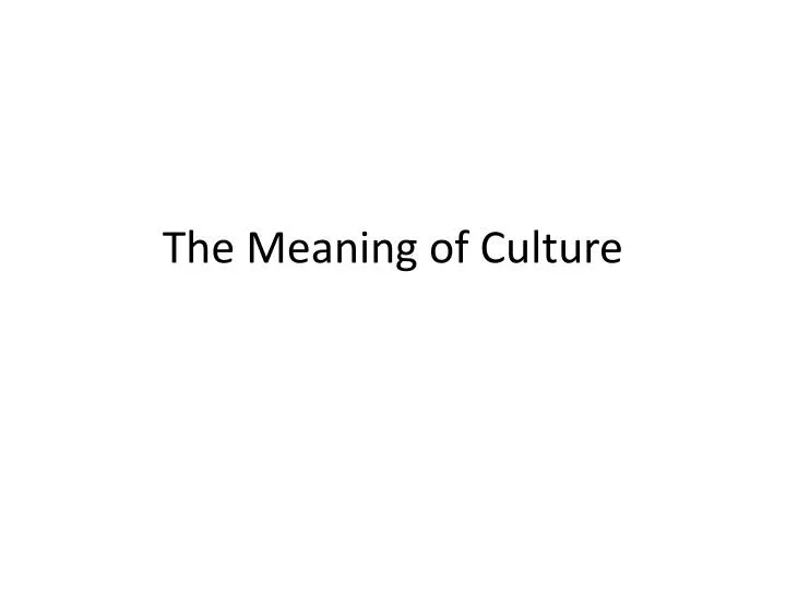 the meaning of culture