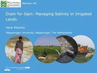 Drain for Gain: Managing Salinity in Irrigated Lands