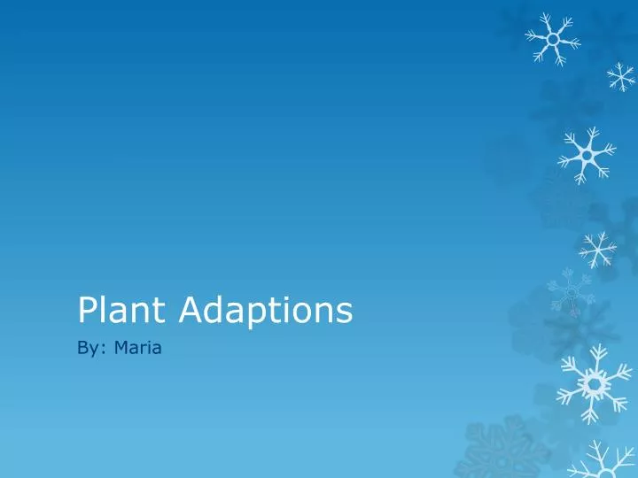 plant adaptions