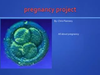 pregnancy project