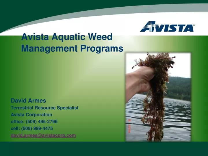 avista aquatic weed management programs