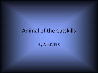 Animal of the Catskills