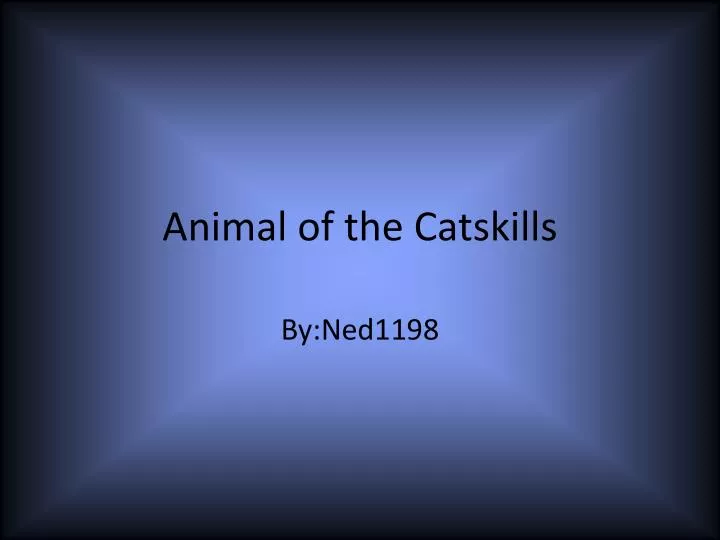 animal of the catskills