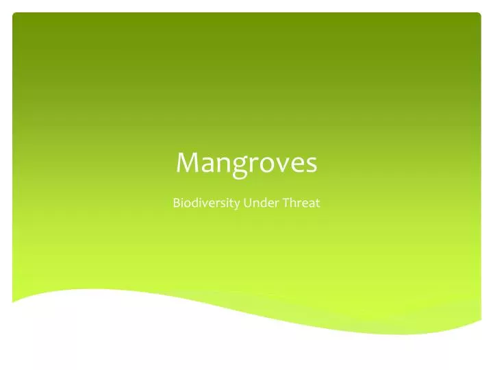 mangroves