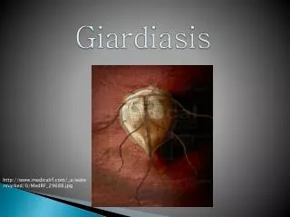 giardiasis