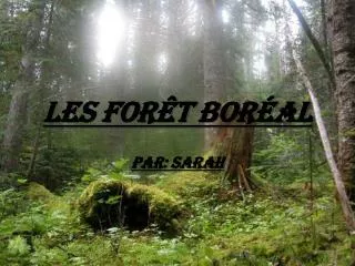 les for t bor al