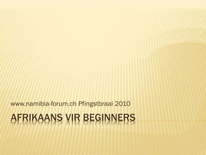 www namibia forum ch pfingstbraai 2010
