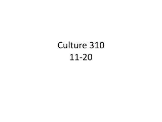 Culture 310 11-20