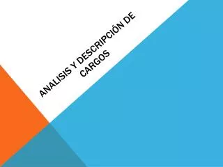 analisis y descripci n de cargos