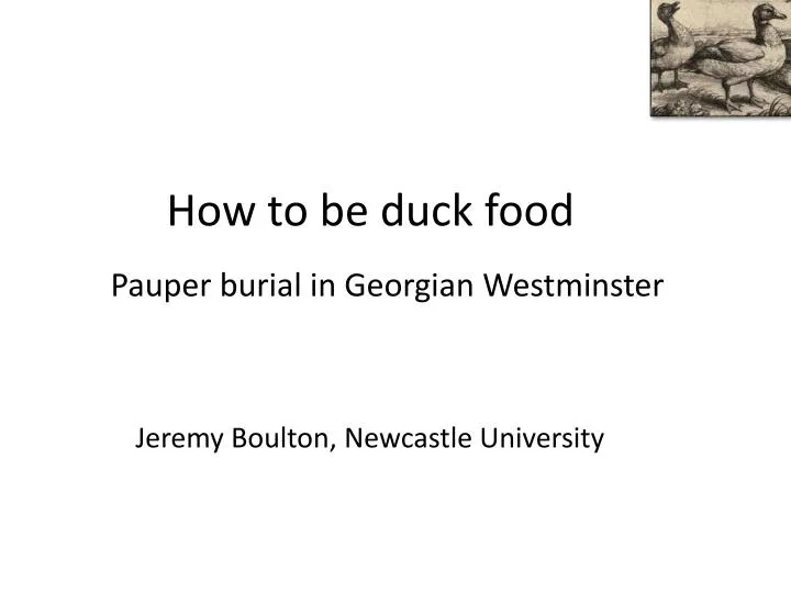 how to be duck food