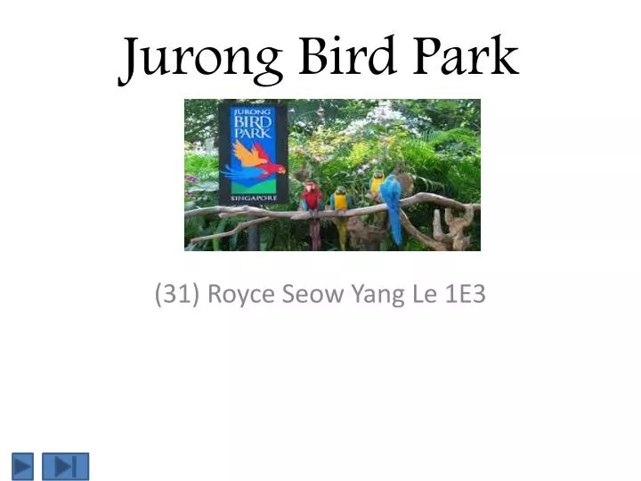 jurong bird park