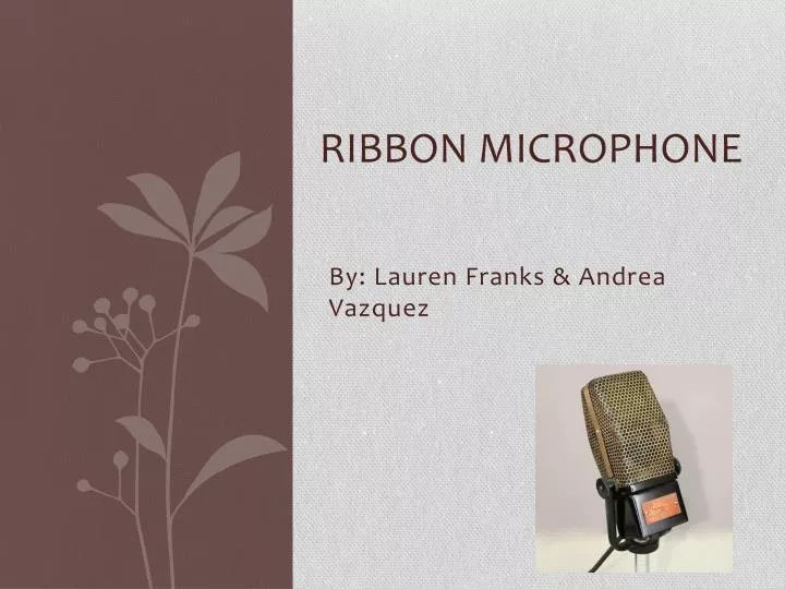 ribbon microphone