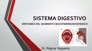 sistema digestivo