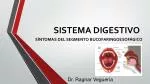 SISTEMA DIGESTIVO - slide 1