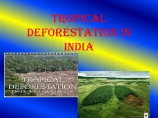 Tropical Deforestation in India