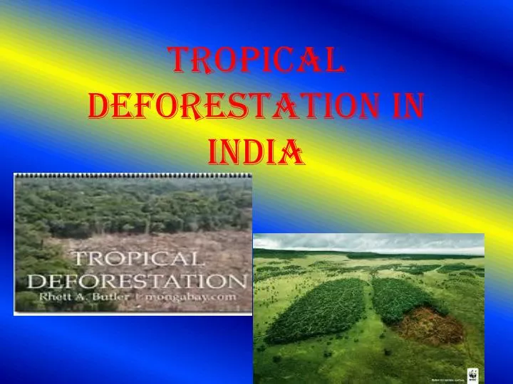 tropical deforestation in india