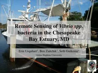 Remote Sensing of Vibrio spp. bacteria in the Chesapeake Bay Estuary, MD